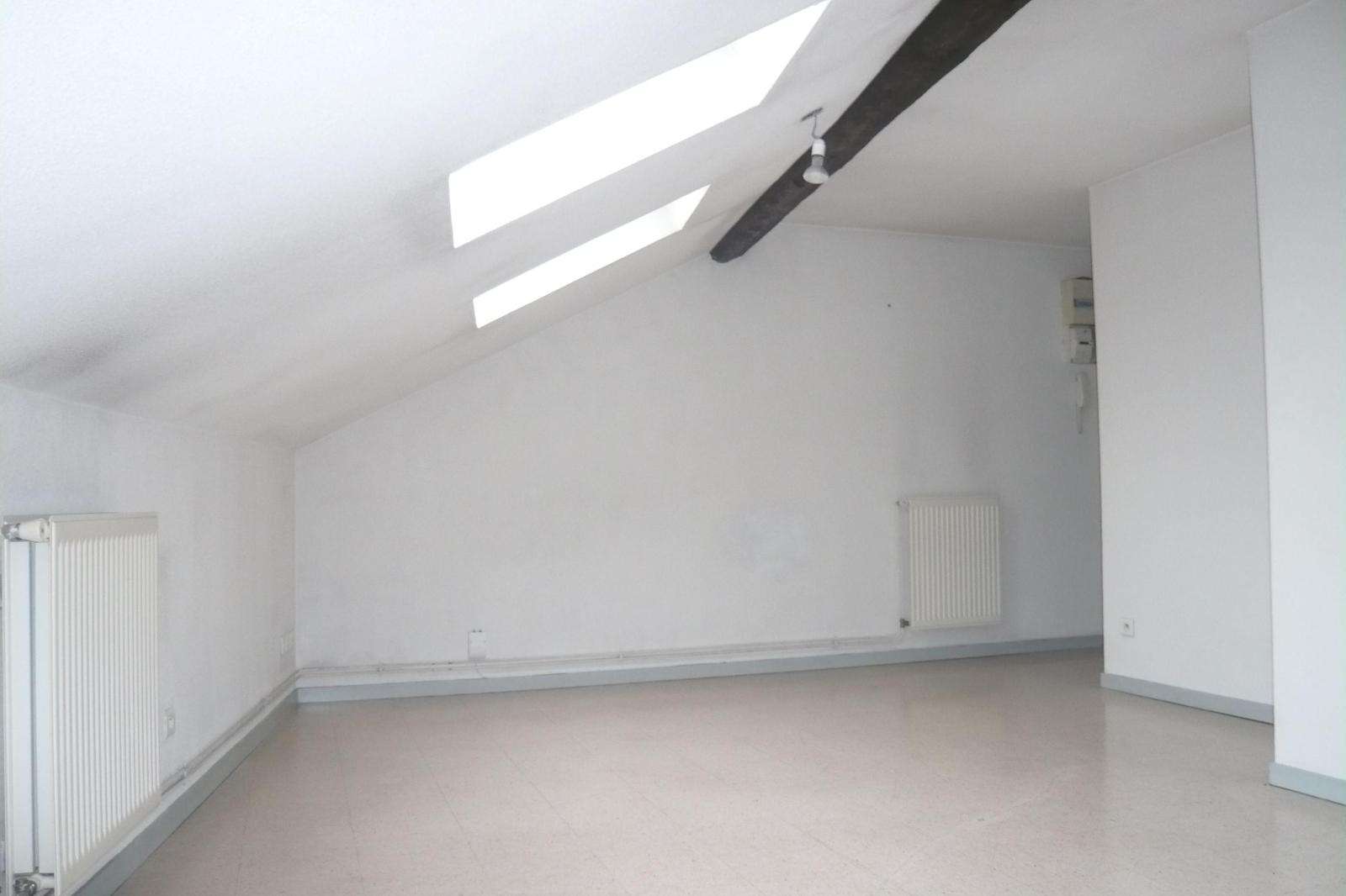 appartement 1 pièces - LYON